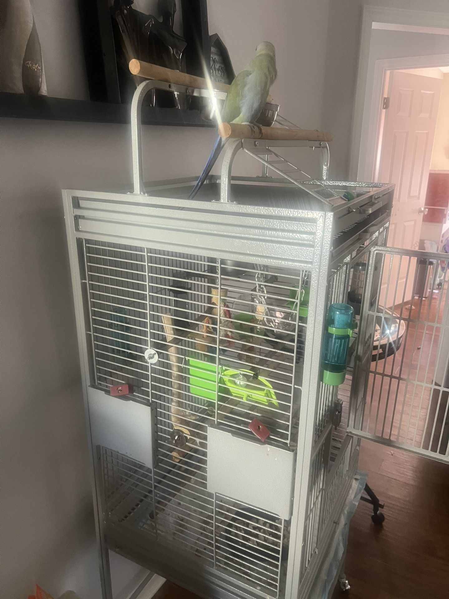 Brand new cage
