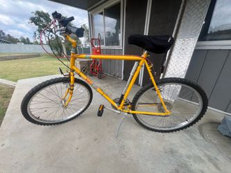 Vintage Raleigh Bike