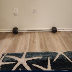 Weighted Barbell W Weights