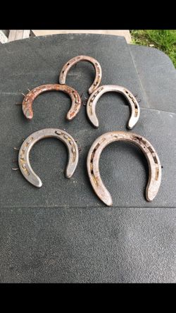 Old horse shoes
