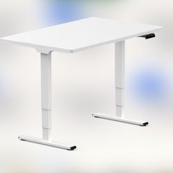 Flexispot Electric Adjustable Standing Desk