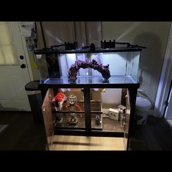 60 Gallon Fish Tank 