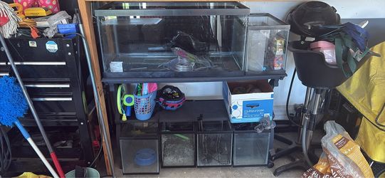 Fish tanks