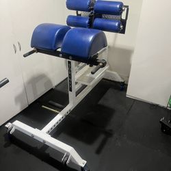 Sorinex Glute Ham Developer USED PREOWNED GYM EQUIPMENT SELLING AS IS! $400
