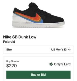 Polaroid Dunks