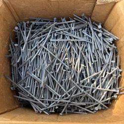 3 1/2" 16d Galvanized Nails