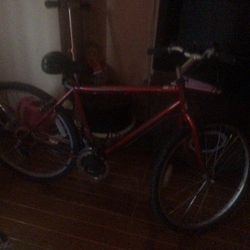 Red Magna bicycle