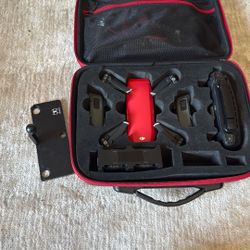 Dji Park Drone