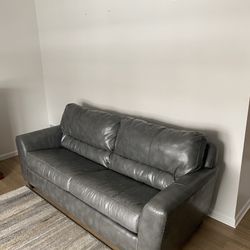 Leather Couch With Pullout Bed 