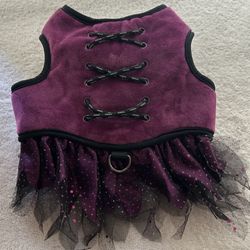 DOG HALLOWEEN WITCH COSTUME