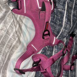 Pink Dog Harness 