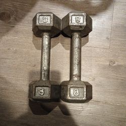 8 Pound Dumbbells 
