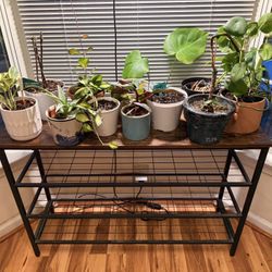 Industrial Shoe Rack