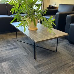 Modern Coffee Table