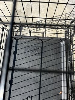 Dog Kennel