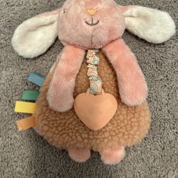 Itzy-Ritzy Bunny Lovey