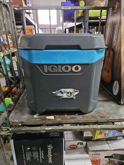 Igloo Cooler 