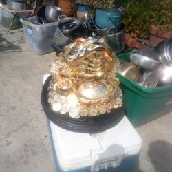 Lucky The Three Legged Toad