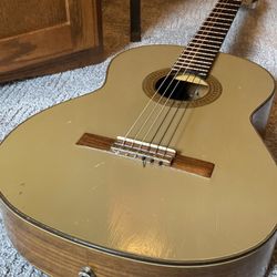 Acoustic Guitar With Pic-up