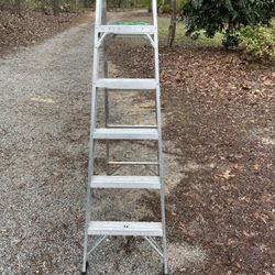 Six Ft Werner Alum Ladder 
