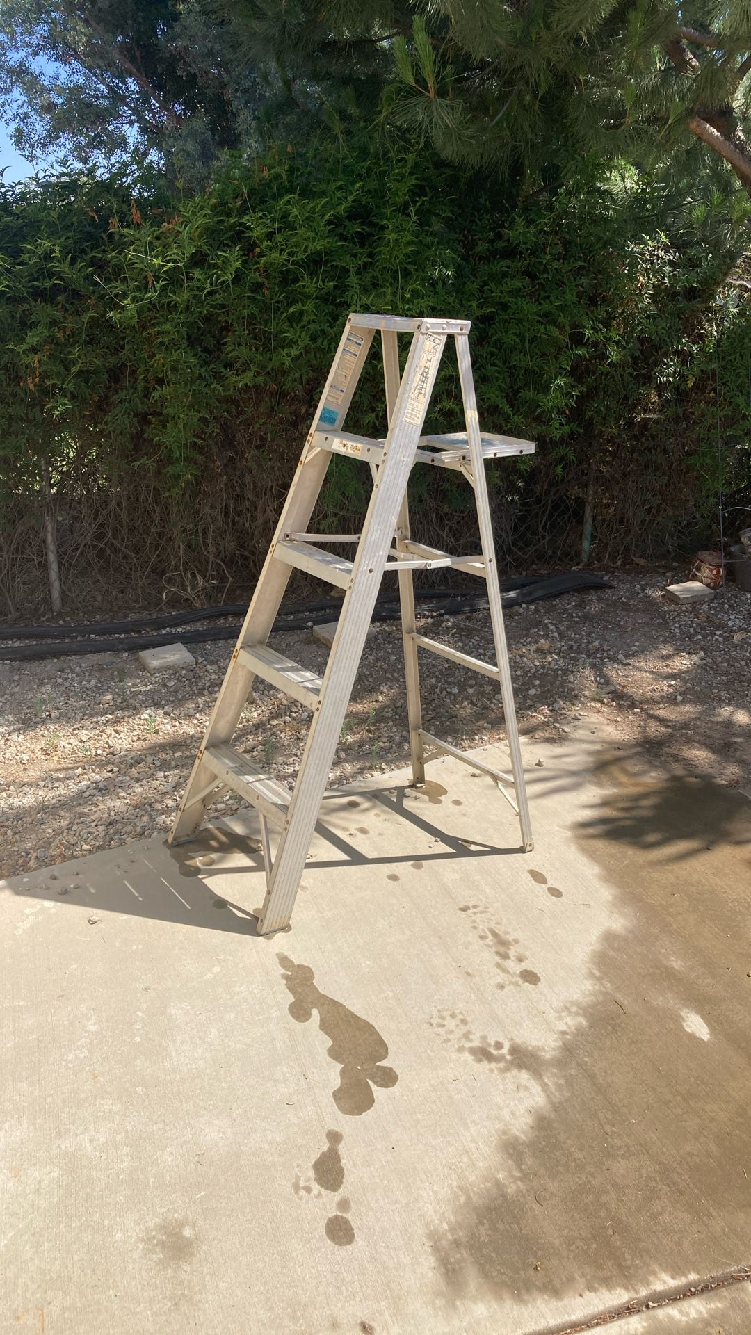5’ Werners Ladder