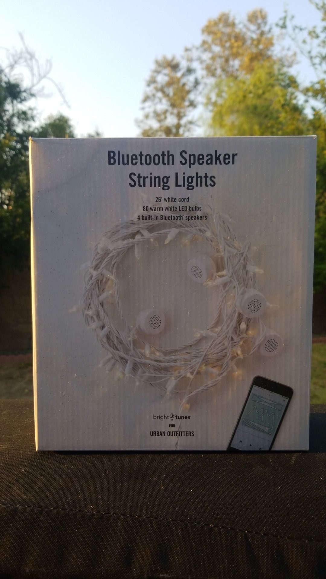Bluetooth speaker string lights