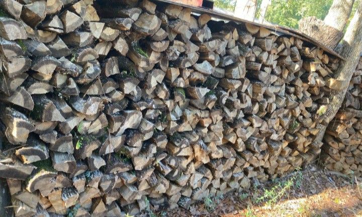 Firewood