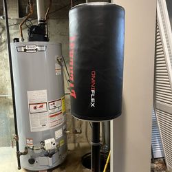 Everlast Punching Bag