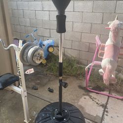 Bench With Weights And Cobra Bag