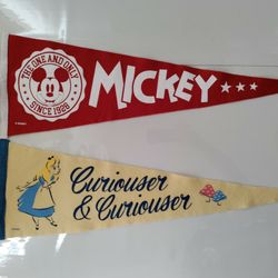 Oxford x Disney Pennant Flag 