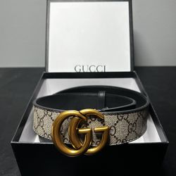 Gucci Marmot Reversible Belt with Gold Buckle 95cm/38in