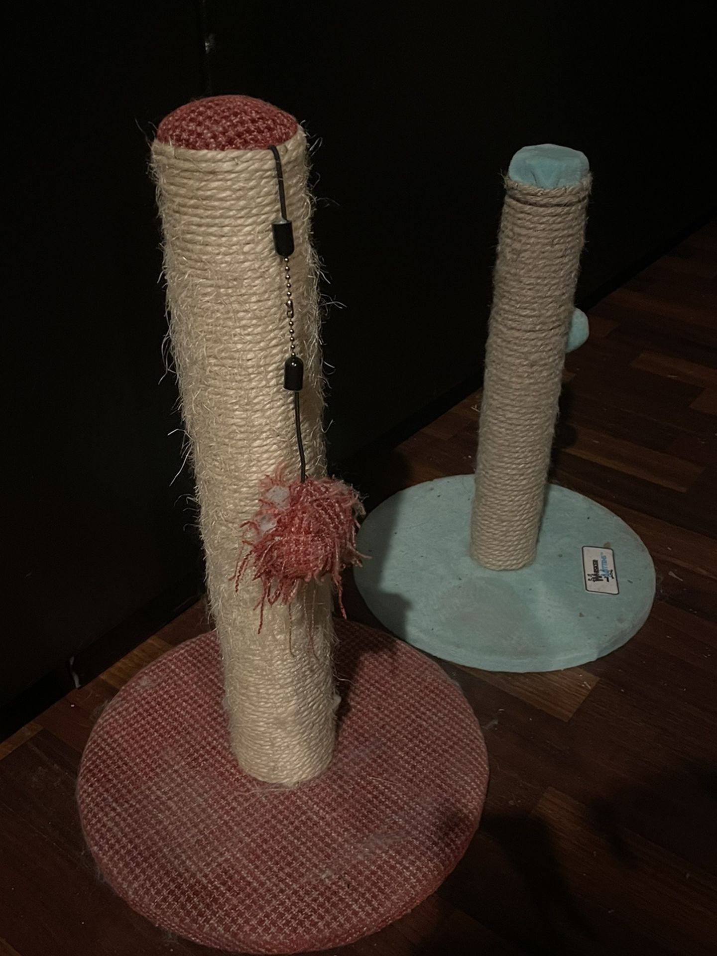 Cats Scraching Post
