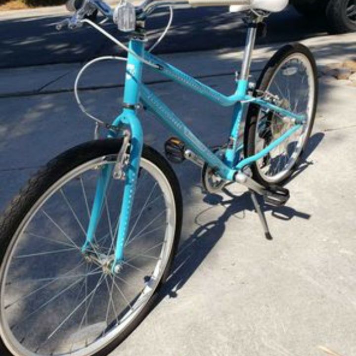 Guardian constantemente ethos 24 inch bike