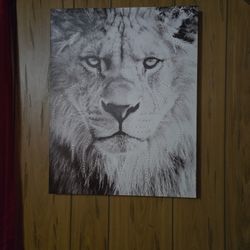 Cuadro En Canvas Grande Leon