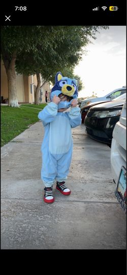 Bluey costume 2t