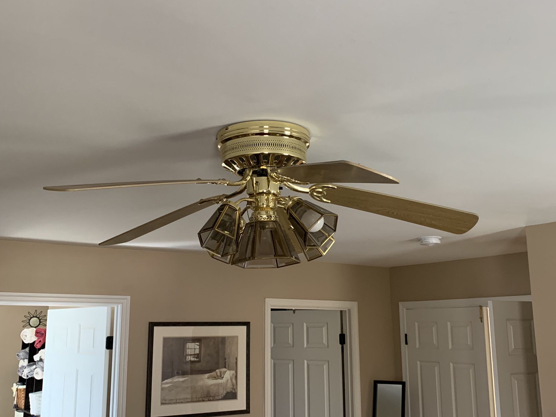 Ceiling fan, with 5 bulb light. Brass w/ glass fixtures. 52 in. Excellent quality