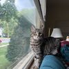 Savannah