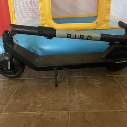 Bird Electric Scooter 