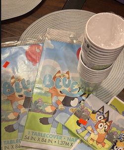 Bluey Birthday Party Decorations