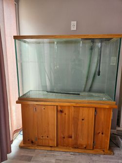 Fish Tank ( Large ) + Stand