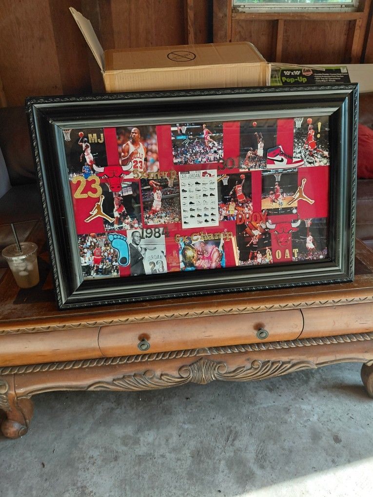 Sports /Entertainment Murals