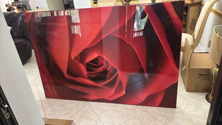 Acrylic wall art