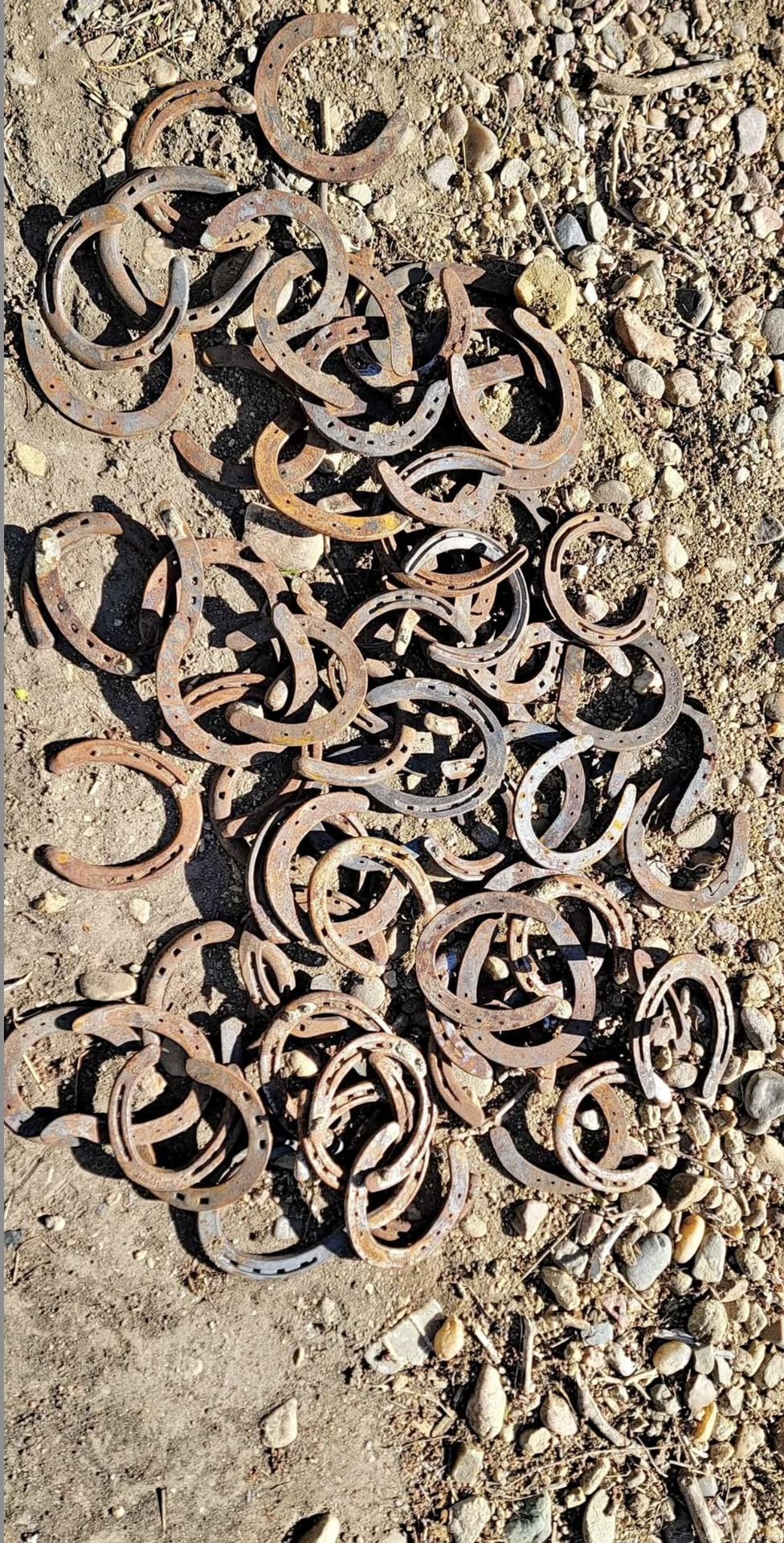 74 Used Horse Shoes for Crafts – $0.50 Each or $30 for All