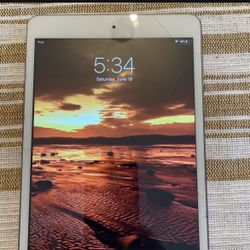 iPad mini 2