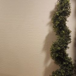 Topiary Spiral Tree