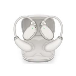 Language Translation Ear Buds Two Way Real Time Translation
