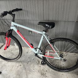 mountain bike
