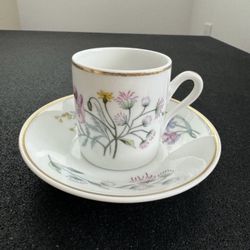 richard ginori 1735 Italy espresso cup saucer porcelain vintage collectible  In great condition