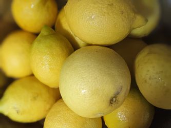 Fresh Organic Lemons (Bag Of 12 Lemons In $5)