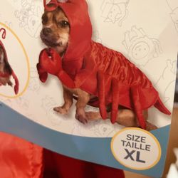Dog Costume X3